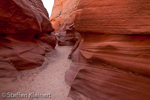 Water Holes Canyon, Arizona, USA 22