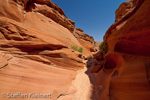 Water Holes Canyon, Arizona, USA 27