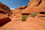 Water Holes Canyon, Arizona, USA 39