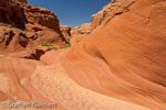 Water Holes Canyon, Arizona, USA 40