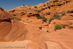 Water Holes Canyon, Arizona, USA 41