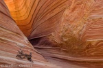 Wave, Coyote Buttes North, Arizona, USA 03