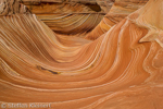 Wave, Coyote Buttes North, Arizona, USA 06