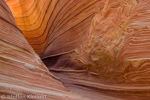 Wave, Coyote Buttes North, Arizona, USA 17