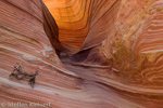 Wave, Coyote Buttes North, Arizona, USA 20