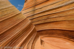 Wave, Coyote Buttes North, Arizona, USA 22