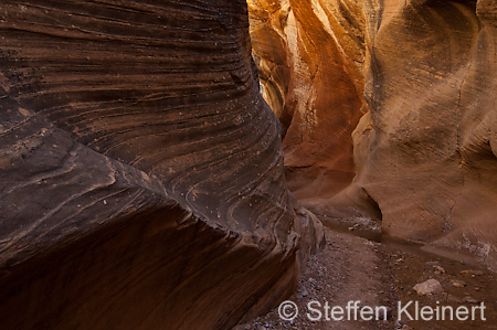 003 USA, Skutumpah Road, Willis Creek