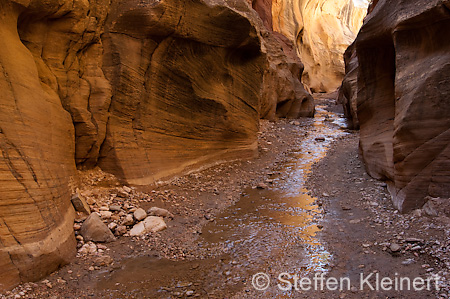 008 USA, Skutumpah Road, Willis Creek