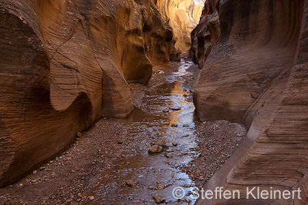 009 USA, Skutumpah Road, Willis Creek