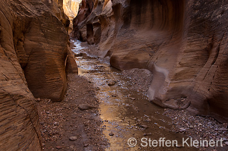 010 USA, Skutumpah Road, Willis Creek