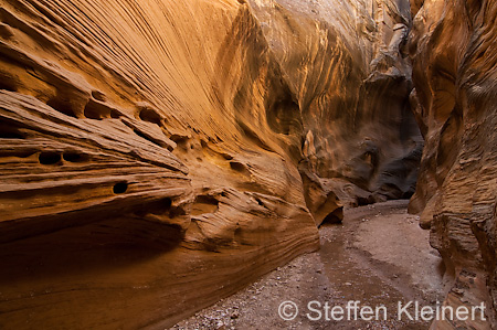 018 USA, Skutumpah Road, Willis Creek