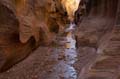 009 USA, Skutumpah Road, Willis Creek