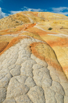 Yellow Rock, Grand Staircase-Escalante NM, GSENM, Utah, USA 02