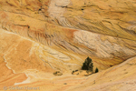 Yellow Rock, Grand Staircase-Escalante NM, GSENM, Utah, USA 17