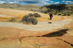 Yellow Rock, Grand Staircase-Escalante NM, GSENM, Utah, USA 22