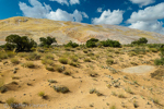 Yellow Rock, Grand Staircase-Escalante NM, GSENM, Utah, USA 23