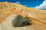 Yellow Rock, Grand Staircase-Escalante NM, GSENM, Utah, USA 41