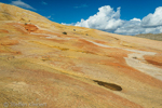 Yellow Rock, Grand Staircase-Escalante NM, GSENM, Utah, USA 42