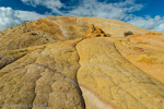 Yellow Rock, Grand Staircase-Escalante NM, GSENM, Utah, USA 43