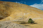 Yellow Rock, Grand Staircase-Escalante NM, GSENM, Utah, USA 51