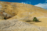 Yellow Rock, Grand Staircase-Escalante NM, GSENM, Utah, USA 52