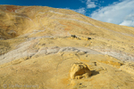 Yellow Rock, Grand Staircase-Escalante NM, GSENM, Utah, USA 54