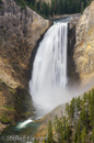 Grand Canyon of the Yellowstone, Lower Falls, Yellowstone NP, USA 13