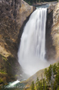 Grand Canyon of the Yellowstone, Lower Falls, Yellowstone NP, USA 14