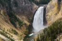 Grand Canyon of the Yellowstone, Lower Falls, Yellowstone NP, USA 17