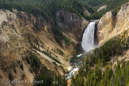 Grand Canyon of the Yellowstone, Lower Falls, Yellowstone NP, USA 18
