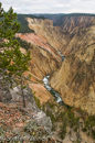 Grand Canyon of the Yellowstone, Yellowstone NP, USA 01