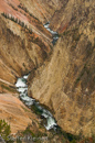 Grand Canyon of the Yellowstone, Yellowstone NP, USA 02