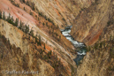 Grand Canyon of the Yellowstone, Yellowstone NP, USA 06