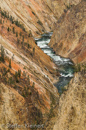 Grand Canyon of the Yellowstone, Yellowstone NP, USA 08