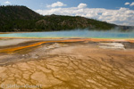 Grand Prismatic Spring, Midway Geyser Basin, Yellowstone NP, USA 03