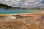 Grand Prismatic Spring, Midway Geyser Basin, Yellowstone NP, USA 05