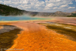 Grand Prismatic Spring, Midway Geyser Basin, Yellowstone NP, USA 08