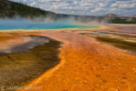 Grand Prismatic Spring, Midway Geyser Basin, Yellowstone NP, USA 15