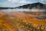 Grand Prismatic Spring, Midway Geyser Basin, Yellowstone NP, USA 24
