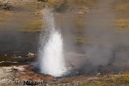 Artesia Geyser, Firehole Lake Drive, Yellowstone NP, USA 23