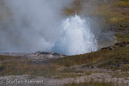 Artesia Geyser, Firehole Lake Drive, Yellowstone NP, USA 26