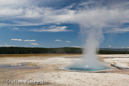 Celestine Pool, Fountain Paint Pots Area, Yellowstone NP, USA 01