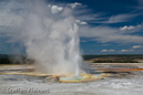 Clepsydra Geysir, Fountain Paint Pots Area, Yellowstone NP, USA 14