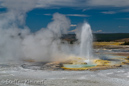 Clepsydra Geysir, Fountain Paint Pots Area, Yellowstone NP, USA 16