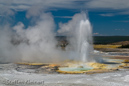 Clepsydra Geysir, Fountain Paint Pots Area, Yellowstone NP, USA 17