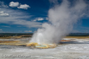 Clepsydra Geysir, Fountain Paint Pots Area, Yellowstone NP, USA 20