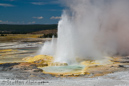 Clepsydra Geysir, Fountain Paint Pots Area, Yellowstone NP, USA 27