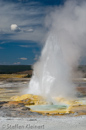 Clepsydra Geysir, Fountain Paint Pots Area, Yellowstone NP, USA 29