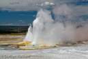 Clepsydra Geysir, Fountain Paint Pots Area, Yellowstone NP, USA 31