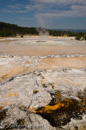 Great Fountain Geyser, Firehole Lake Drive, Yellowstone NP, USA 11